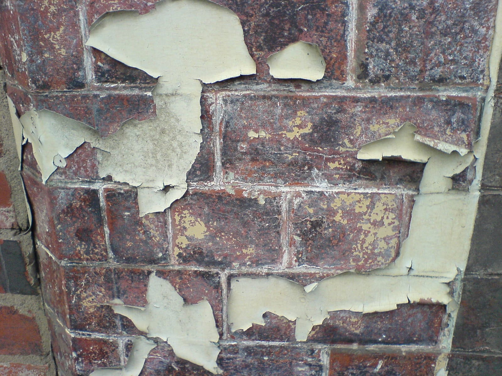 Pared de ladrillo con la pintura desconchada y levantada por la humedad.