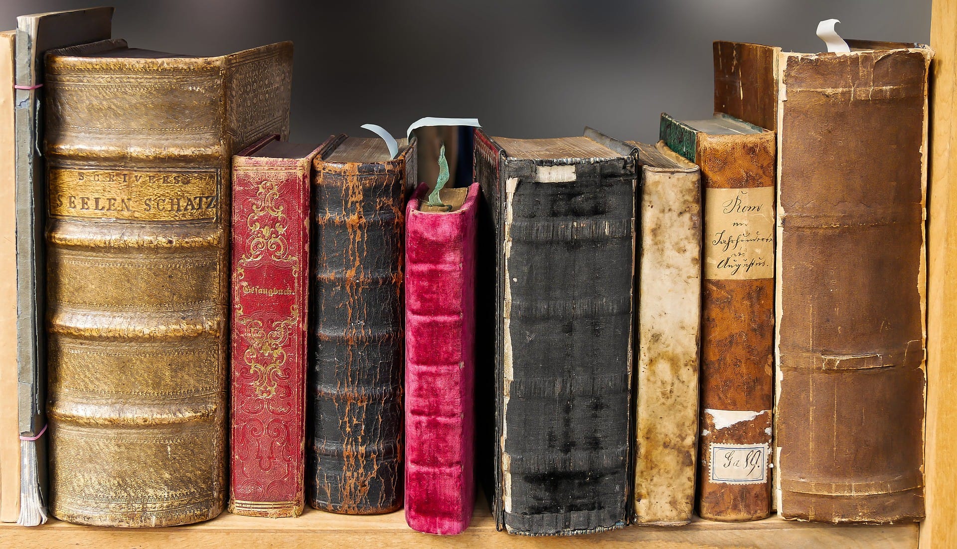 Hilera de libros antiguos encuadernados en piel sobre un estante de madera.